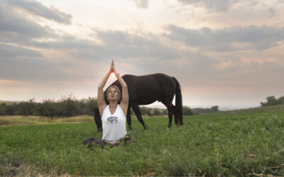 BOWSPRING YOGA WITH HORSES